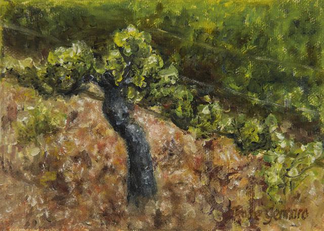 Wine Country